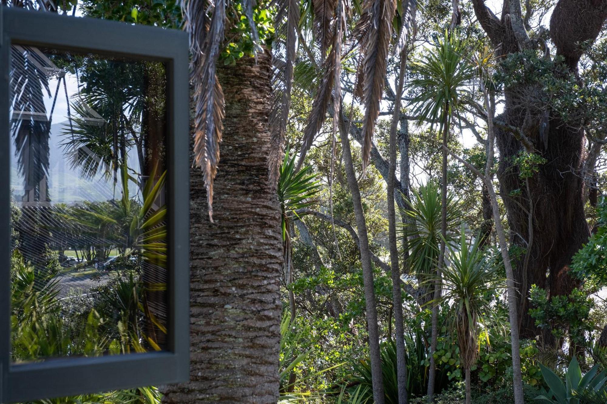 Bow Street Apartments & Cottage Raglan Buitenkant foto